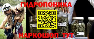 крисы Мариинск