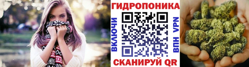 купить наркоту Отрадный Марихуана план