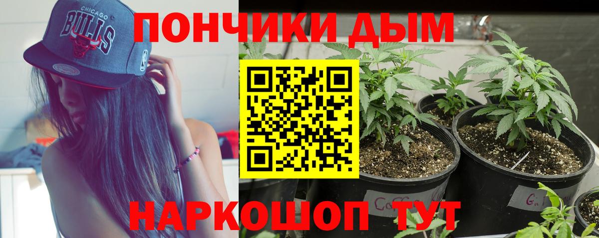 МАРИХУАНА гибрид  Бошки марихуана Amnesia  Конопля индика  Отрадный  Вход с VPN  Шишки марихуана план 
